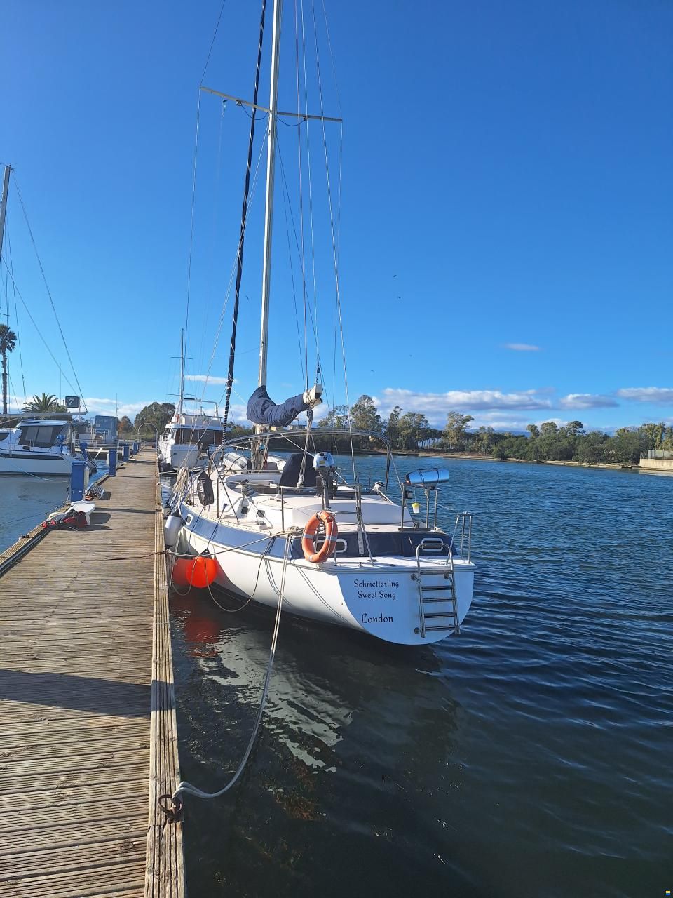 Catalina Morgan Classic 41