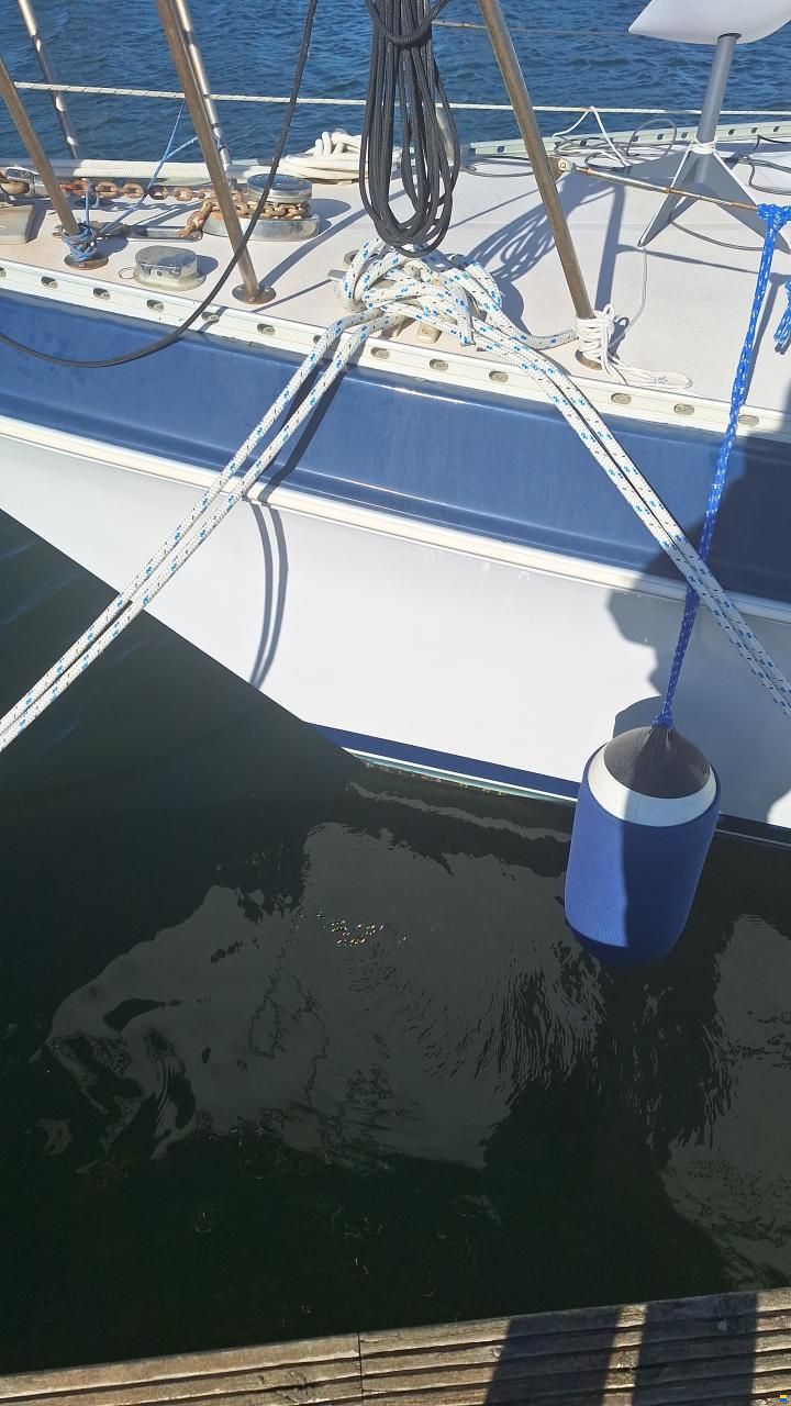 Catalina Morgan Classic 41
