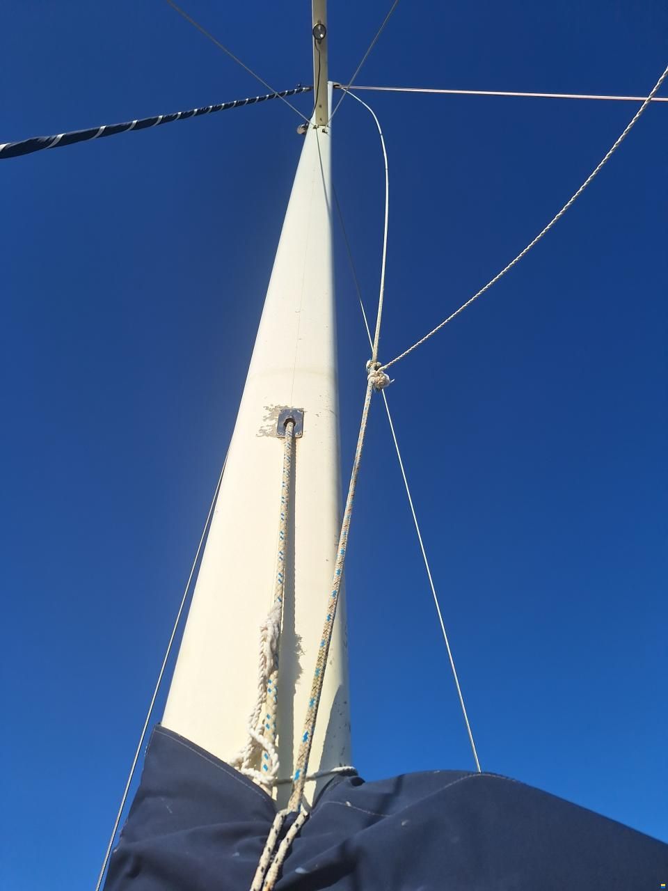 Catalina Morgan Classic 41