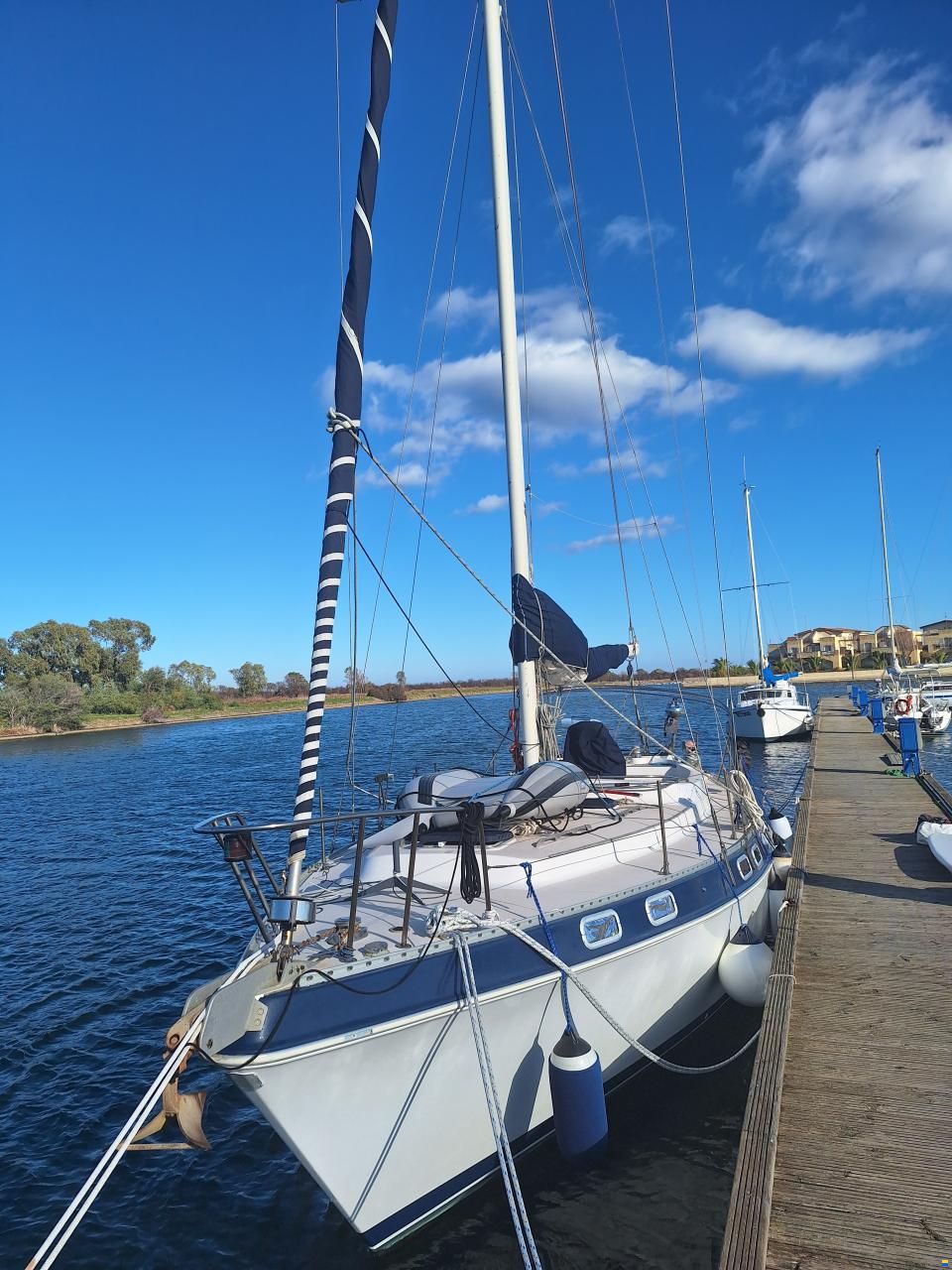 Catalina Morgan Classic 41