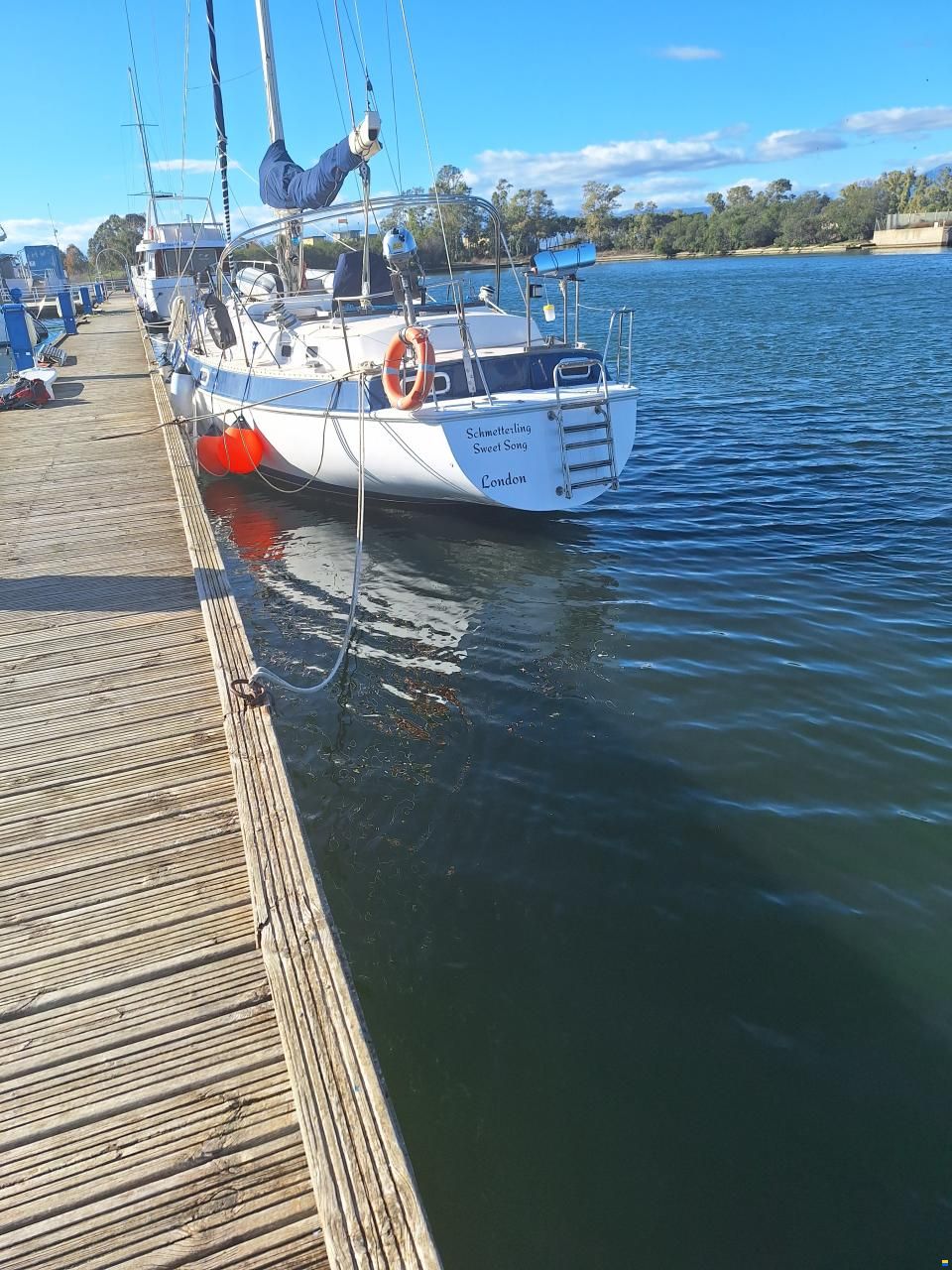 Catalina Morgan Classic 41