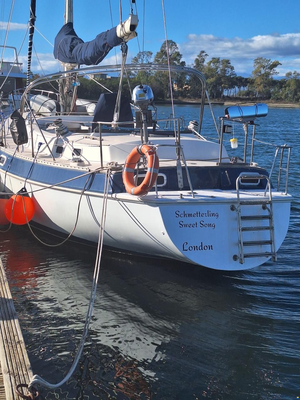 Catalina Morgan Classic 41