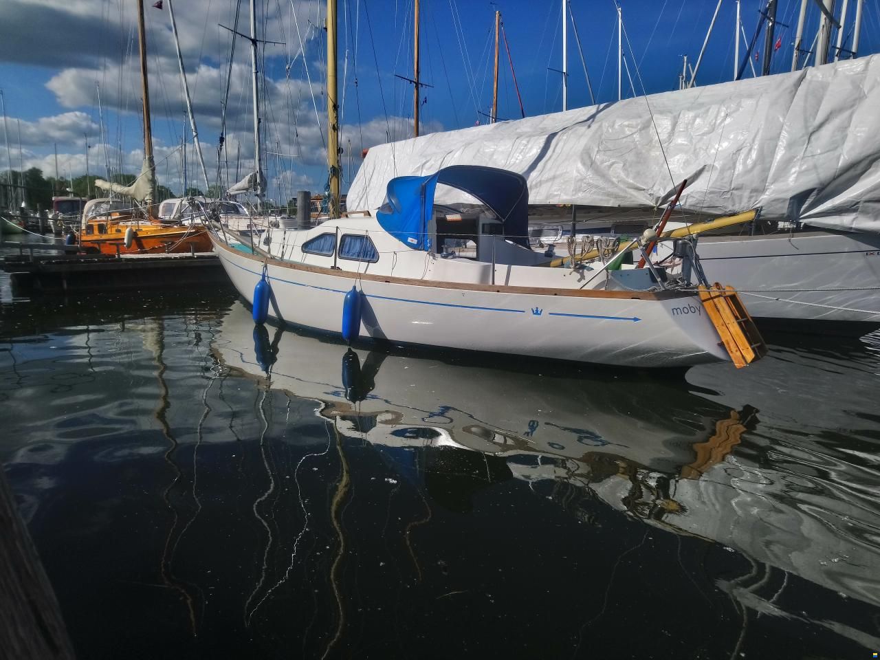 Kingscruiser 29