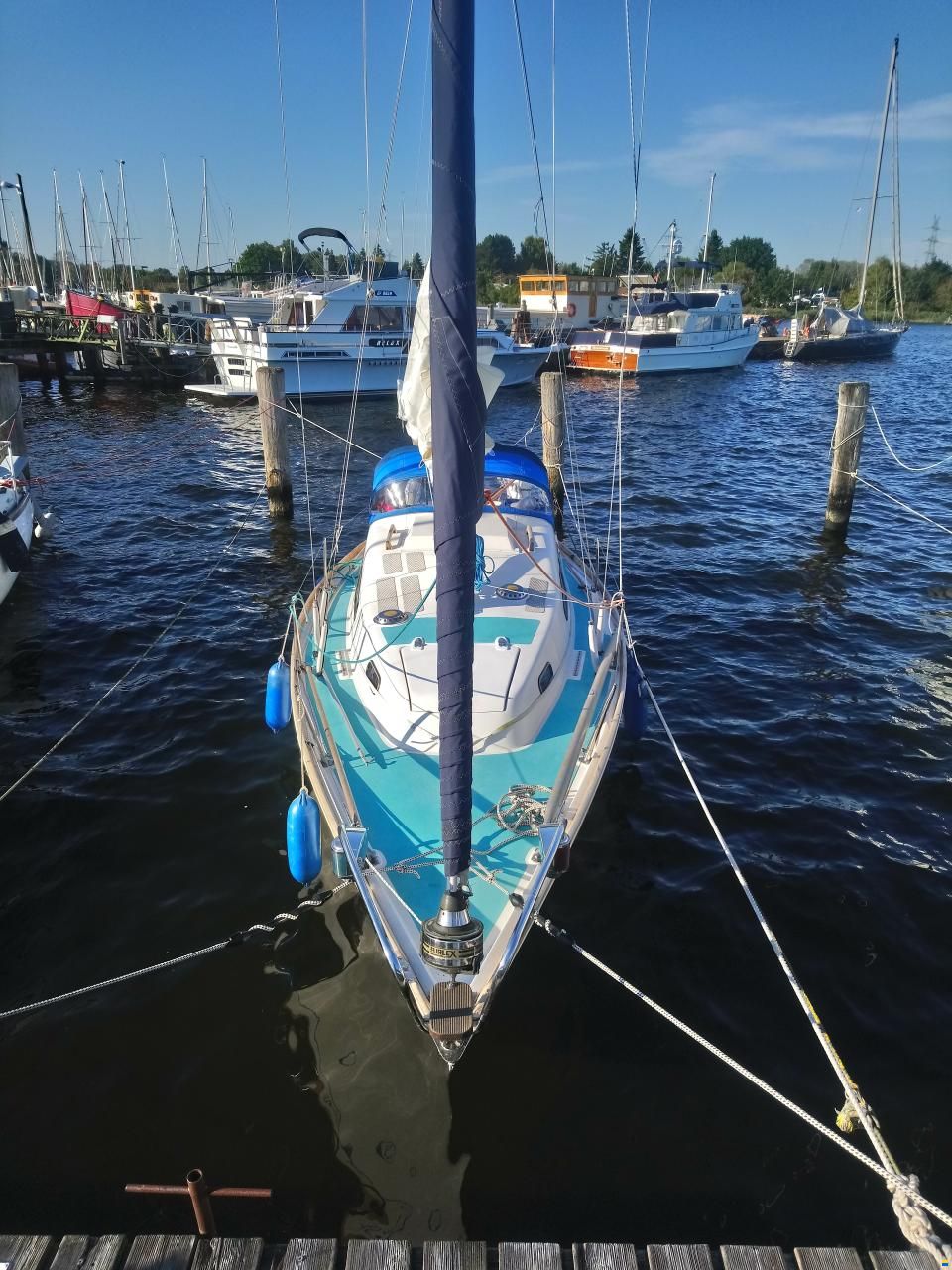 Kingscruiser 29