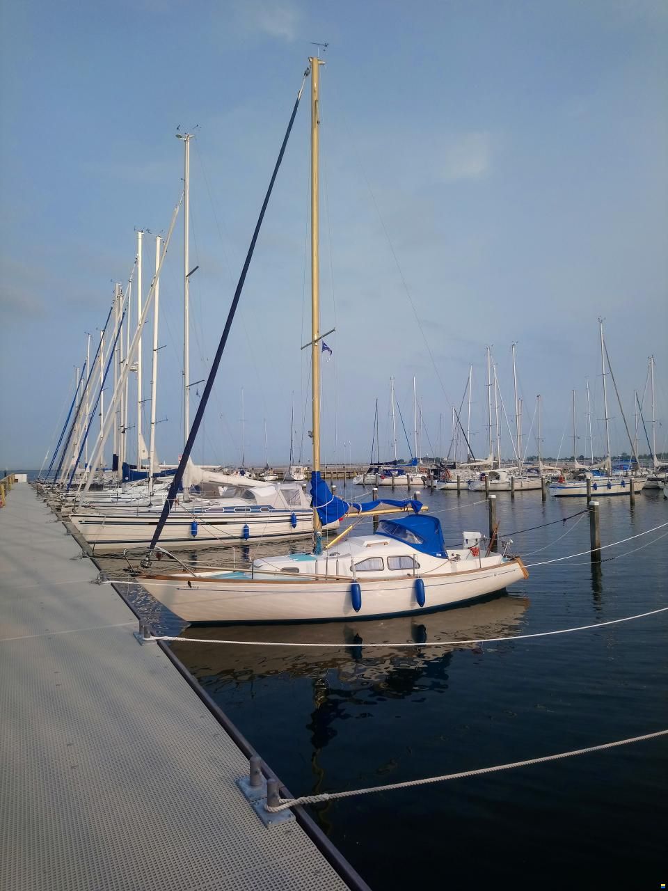 Kingscruiser 29