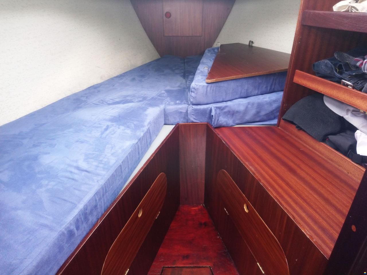 Kingscruiser 29