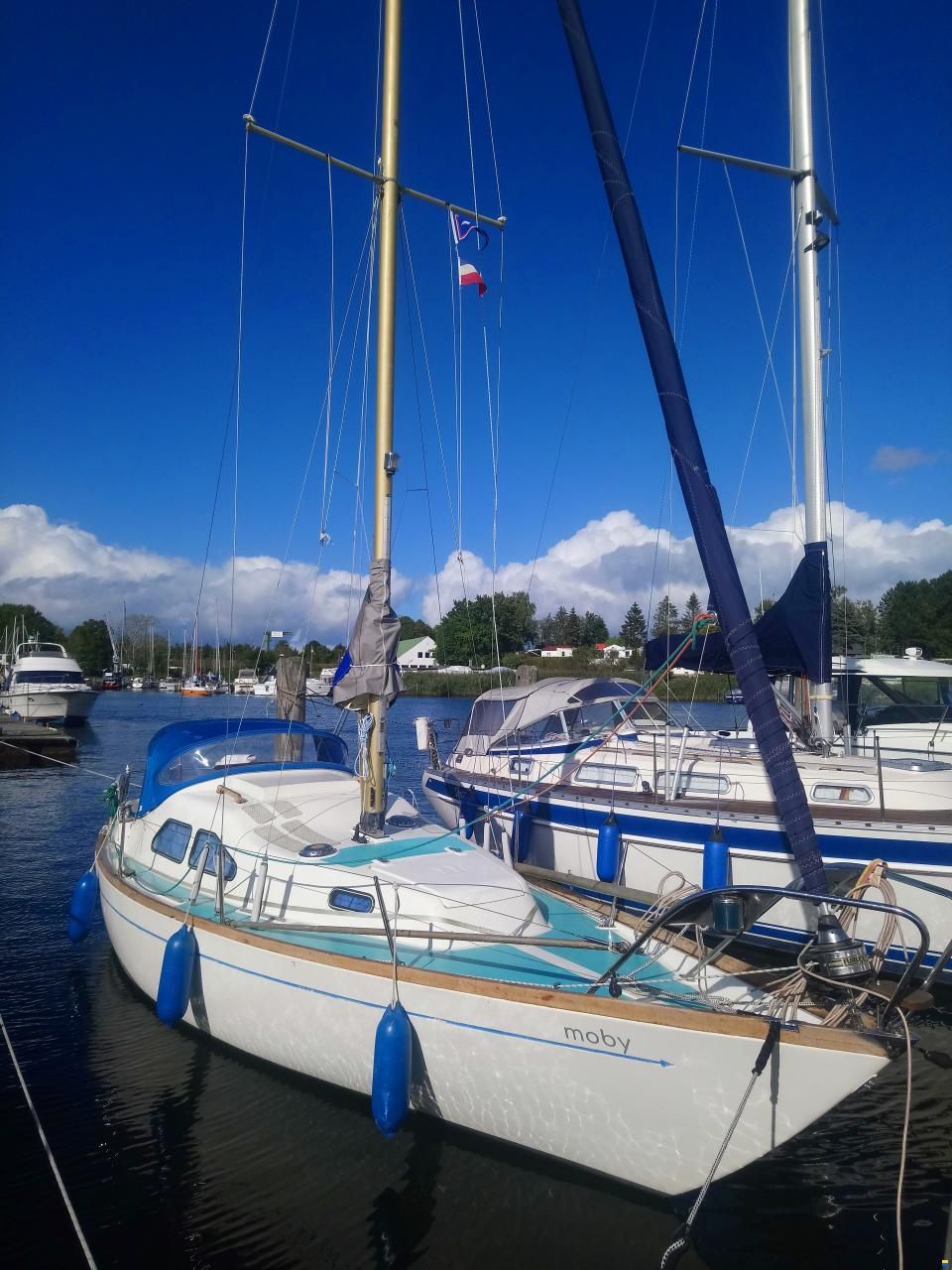 Kingscruiser 29
