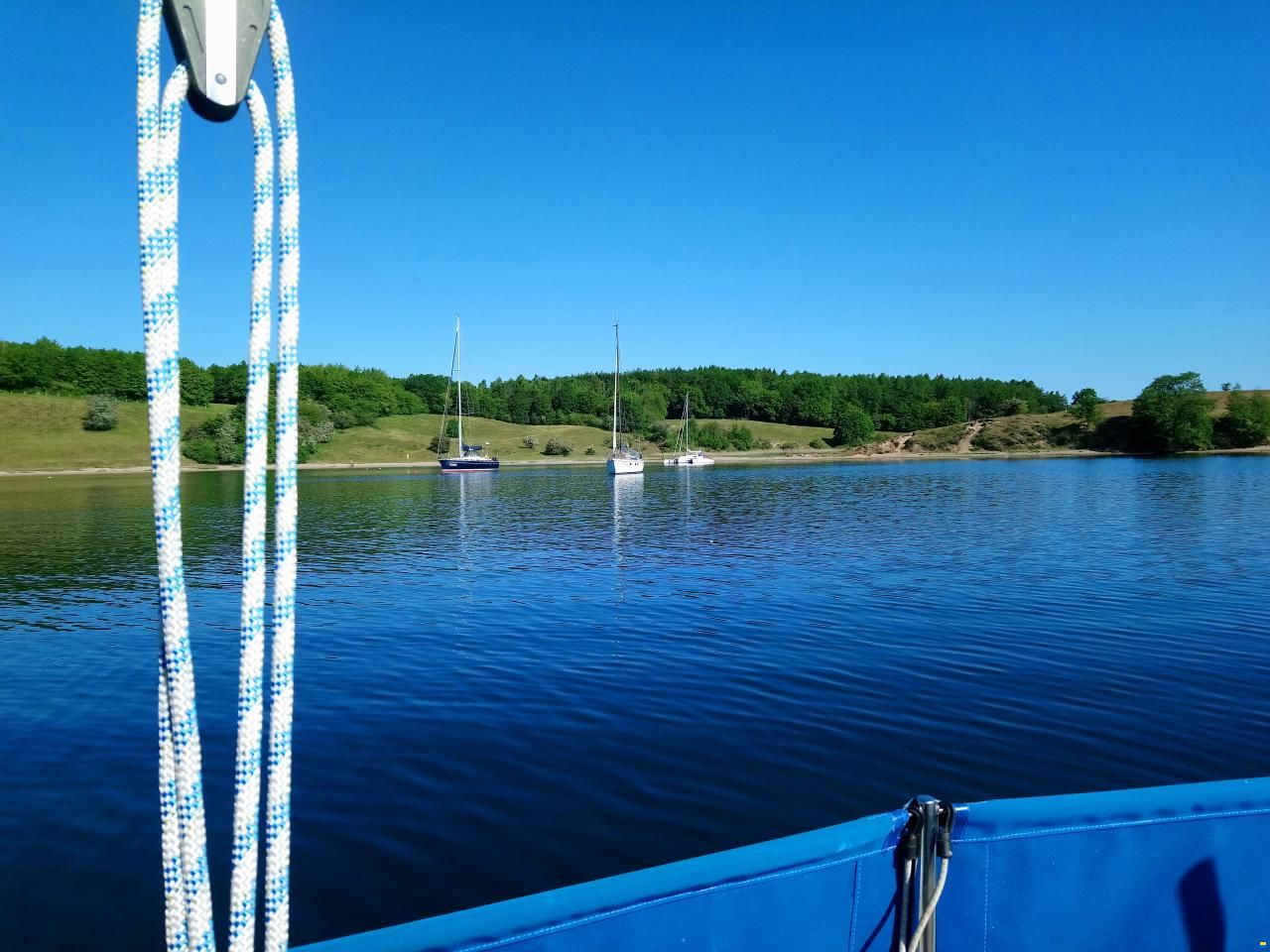 Kingscruiser 29