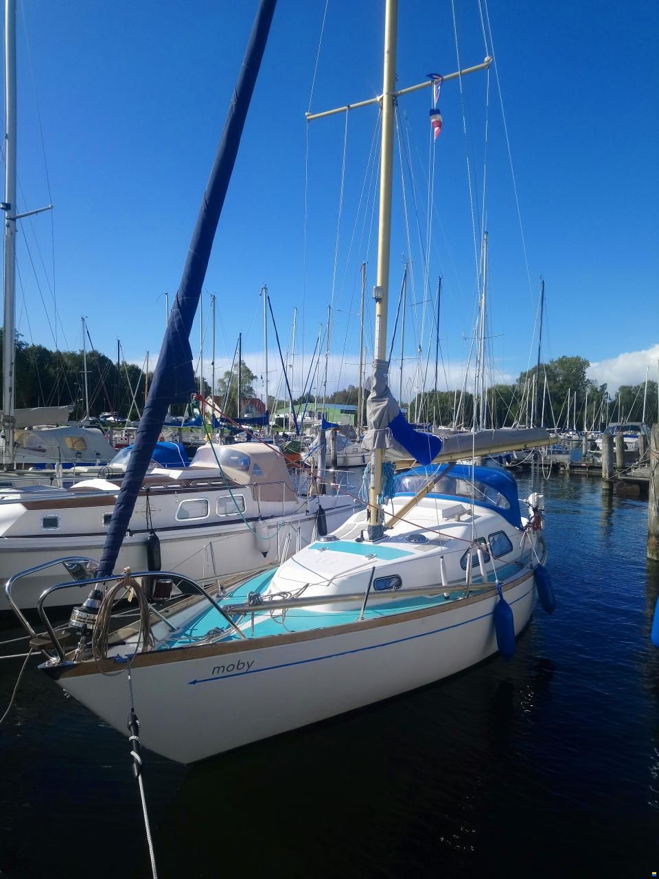 Kingscruiser 29