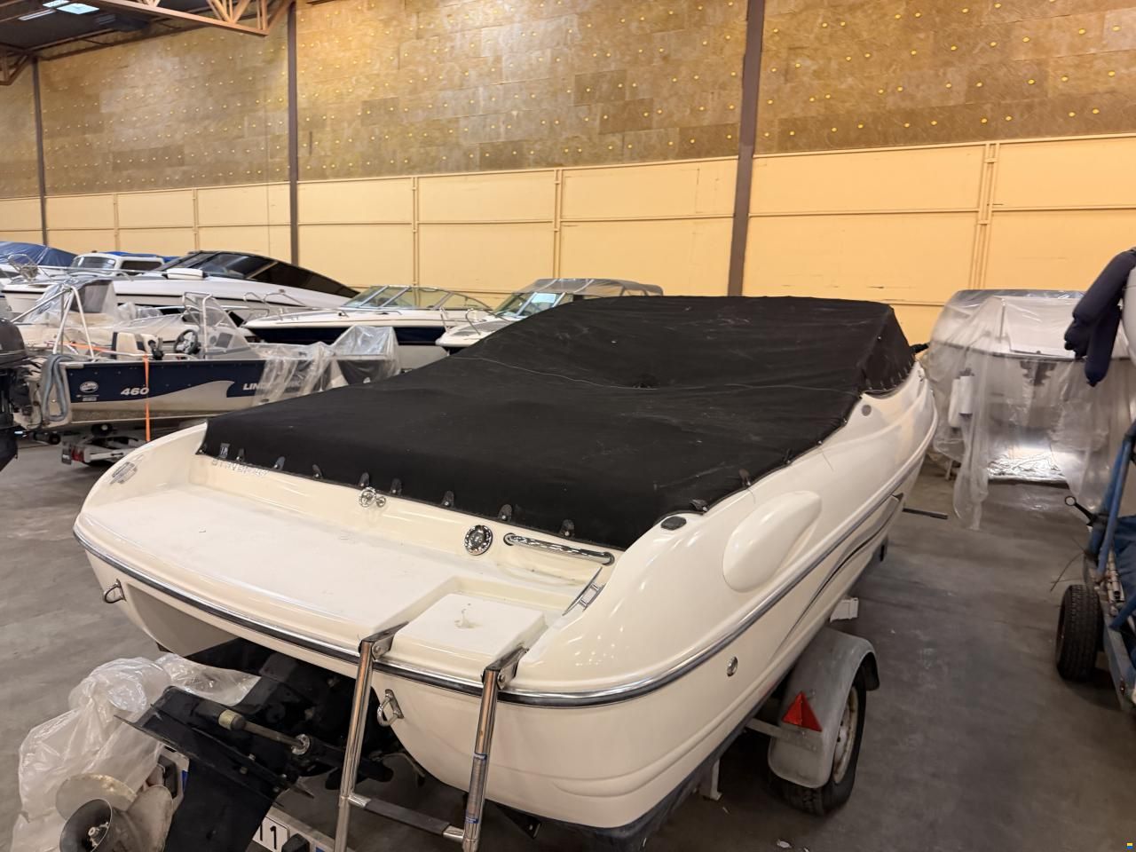 Stingray 195 CX