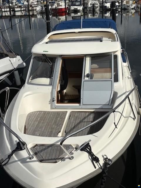 Bella 655