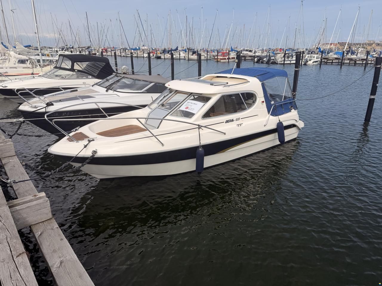 Bella 655