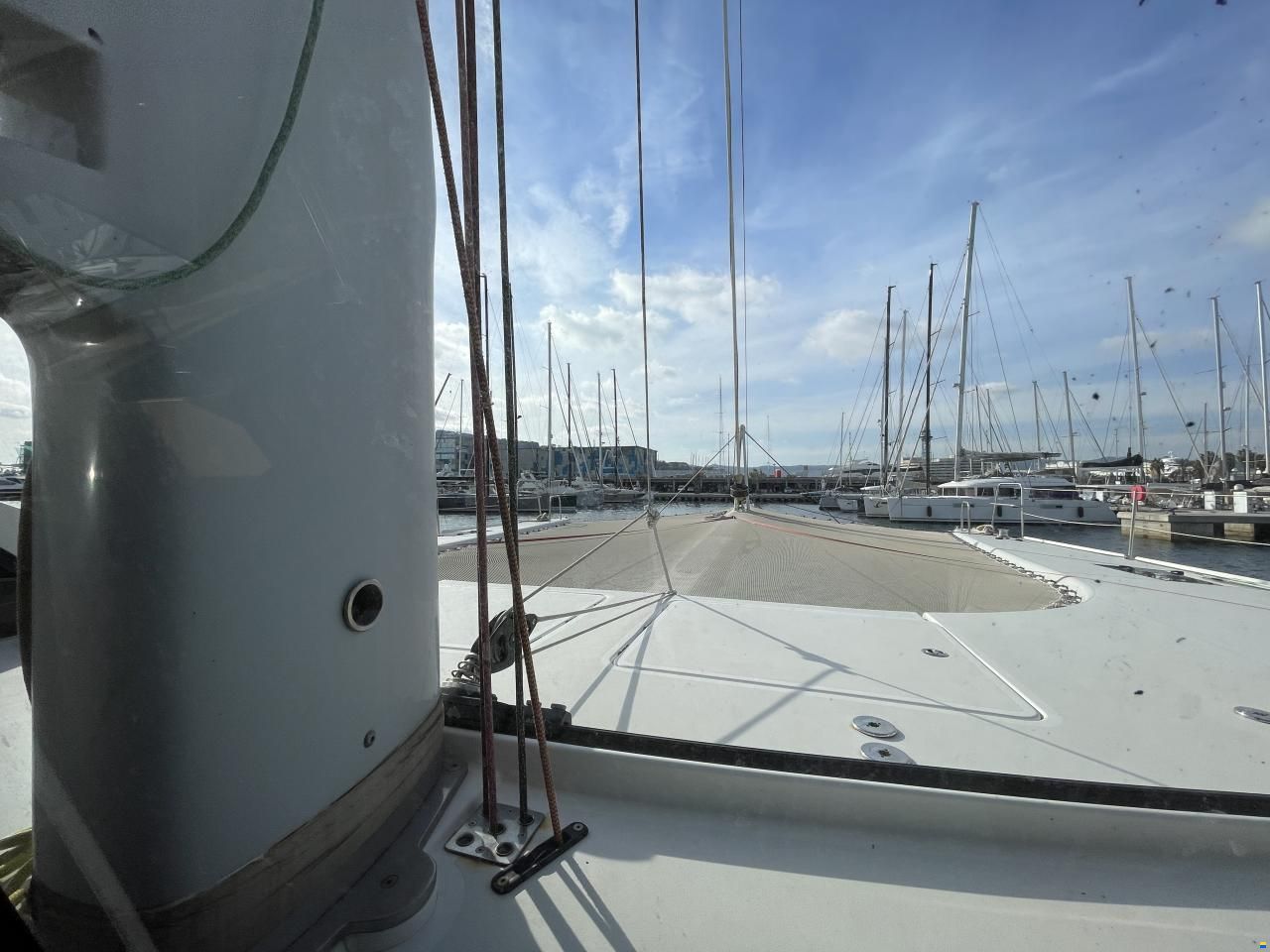 ICE CAT 61 Full Carbon