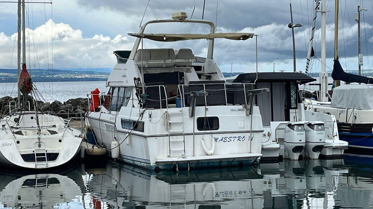 Carver 33