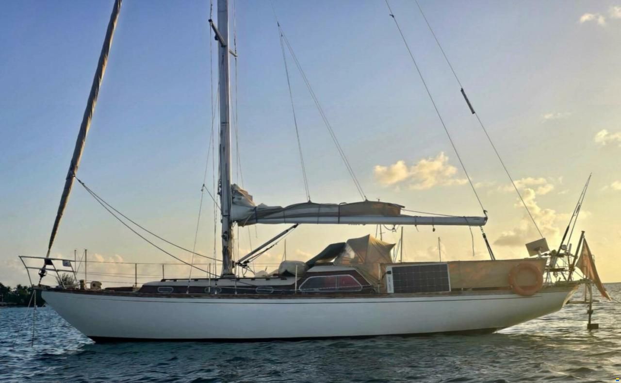 Camper & Nicholsons 36