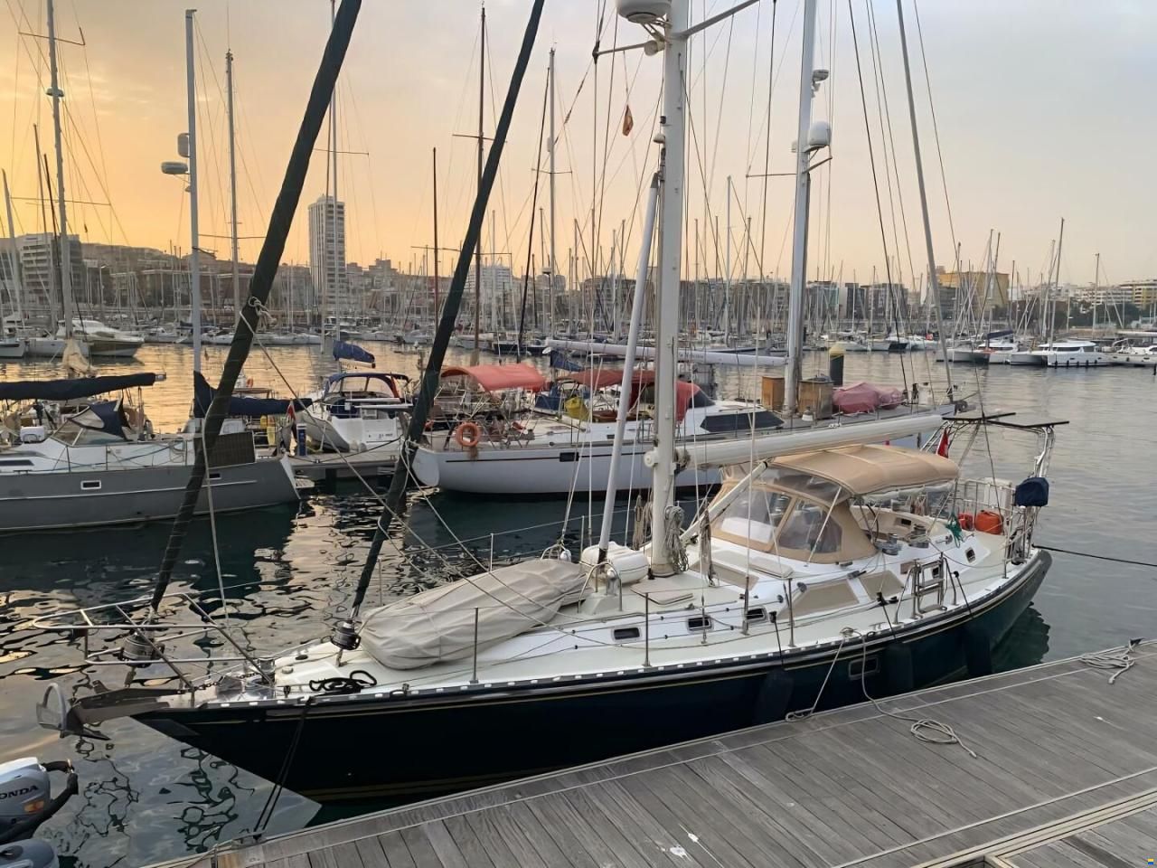 Hylas 49