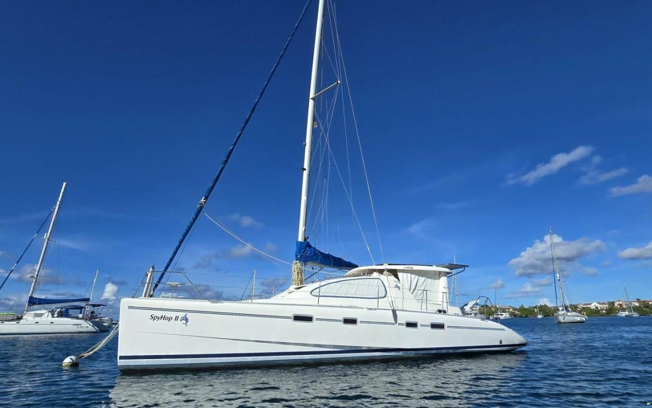 Leopard 43