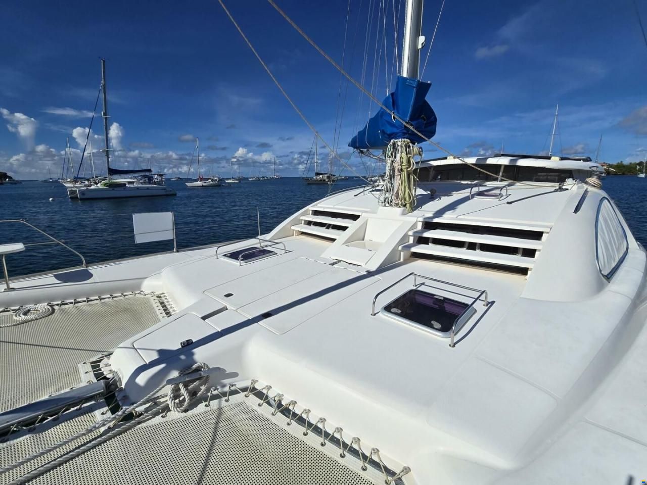 Leopard 43