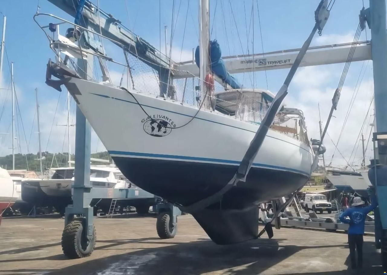 Hylas 47