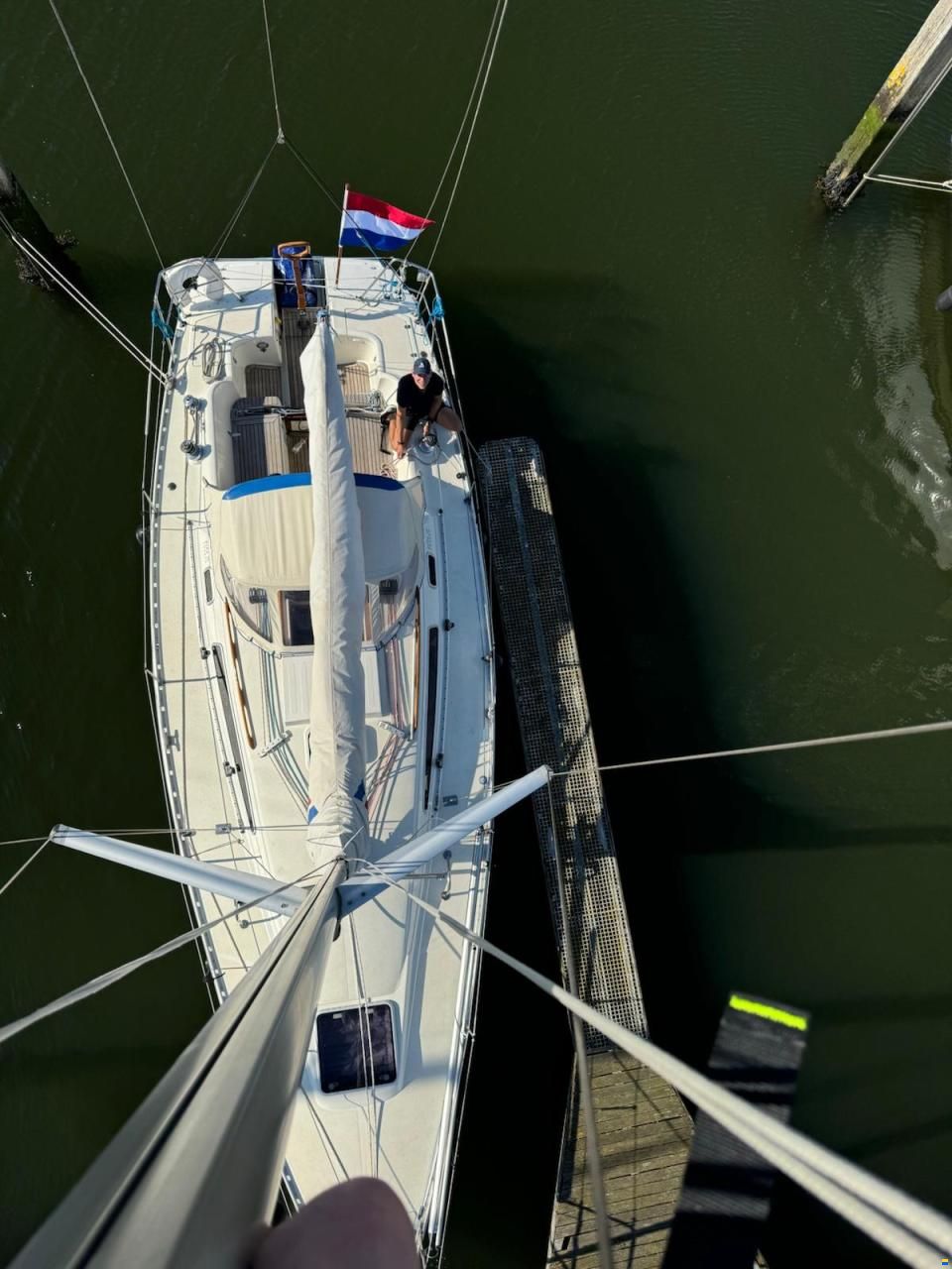 Fabola Diva 35