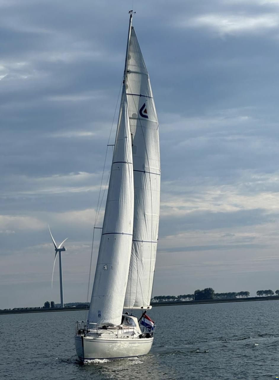Fabola Diva 35