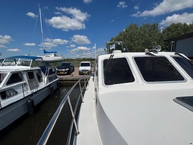 Cygnus Cyfish 33