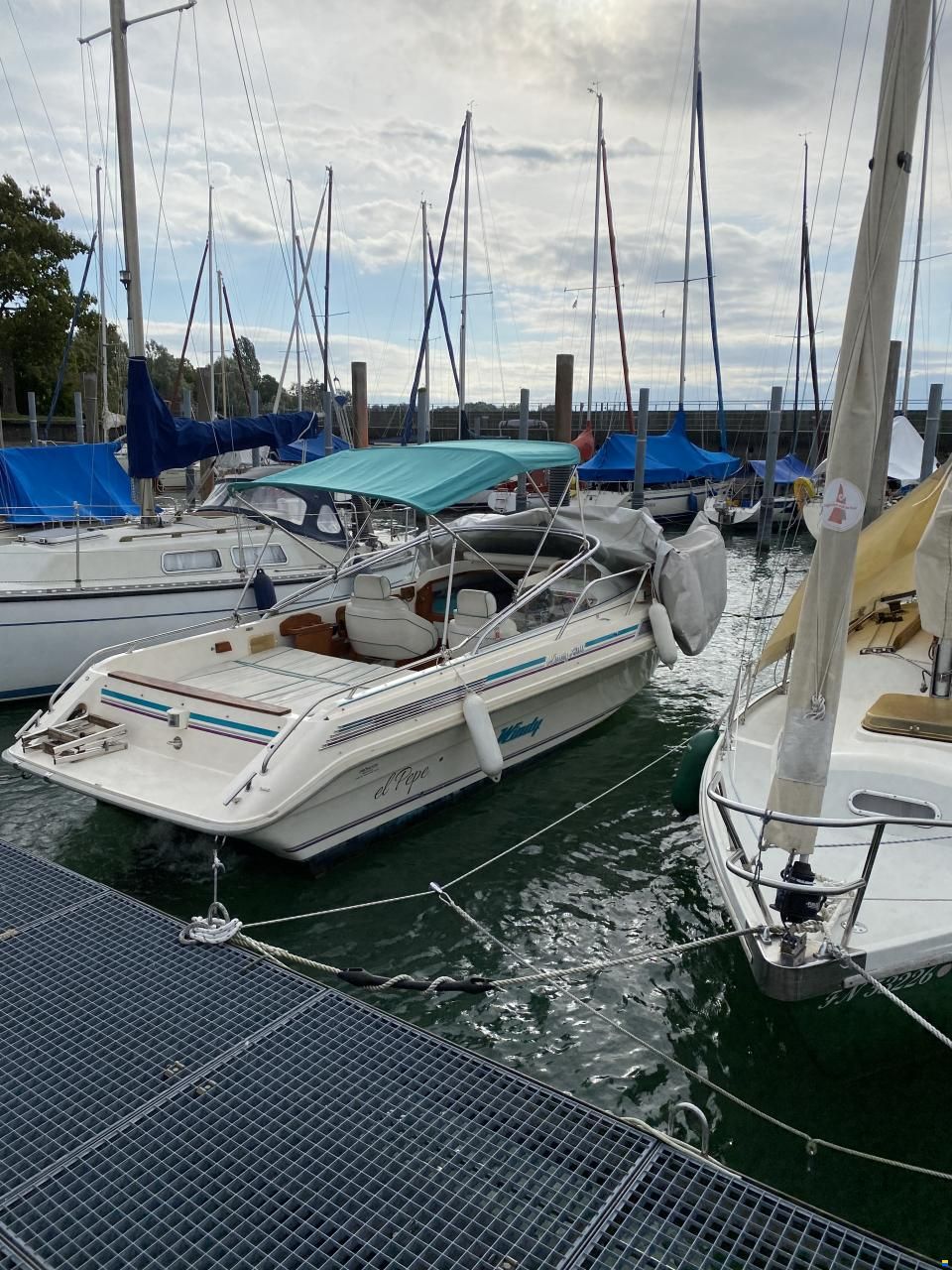Windy 7800