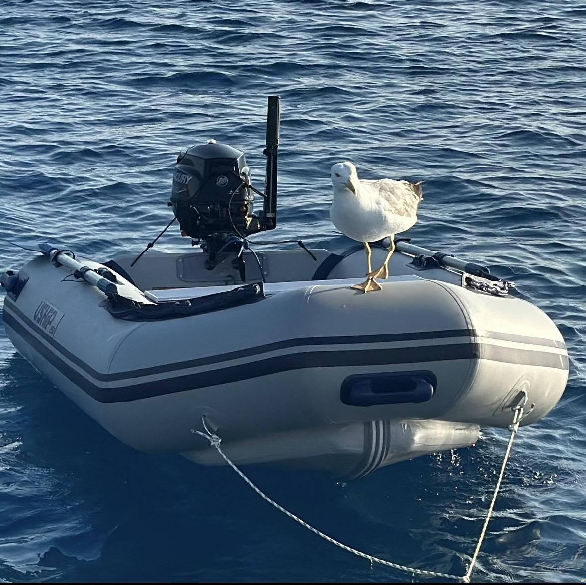Bavaria 42 Cruiser