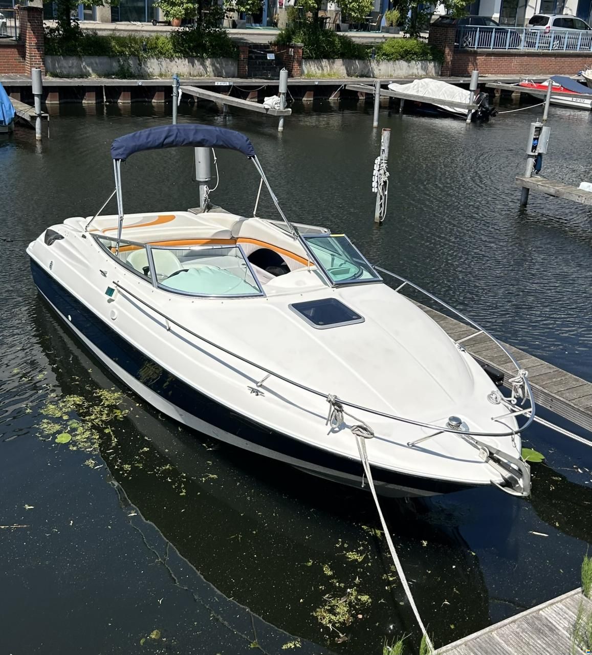 Viper 243