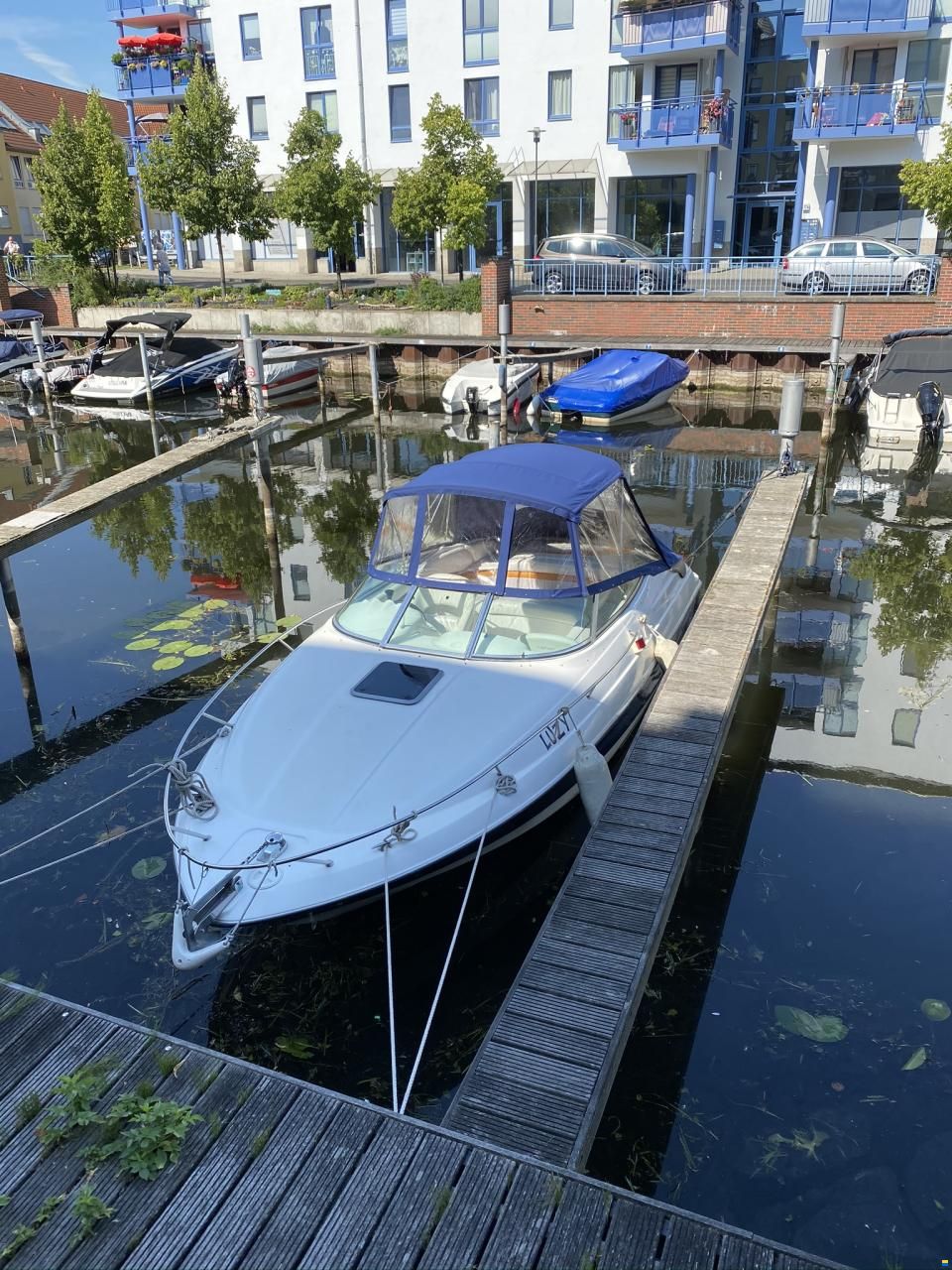 Viper 243