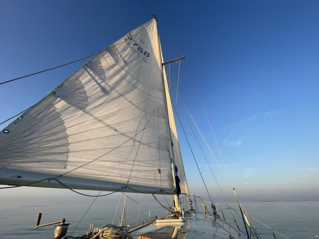 Scheldeschouw 9 meter