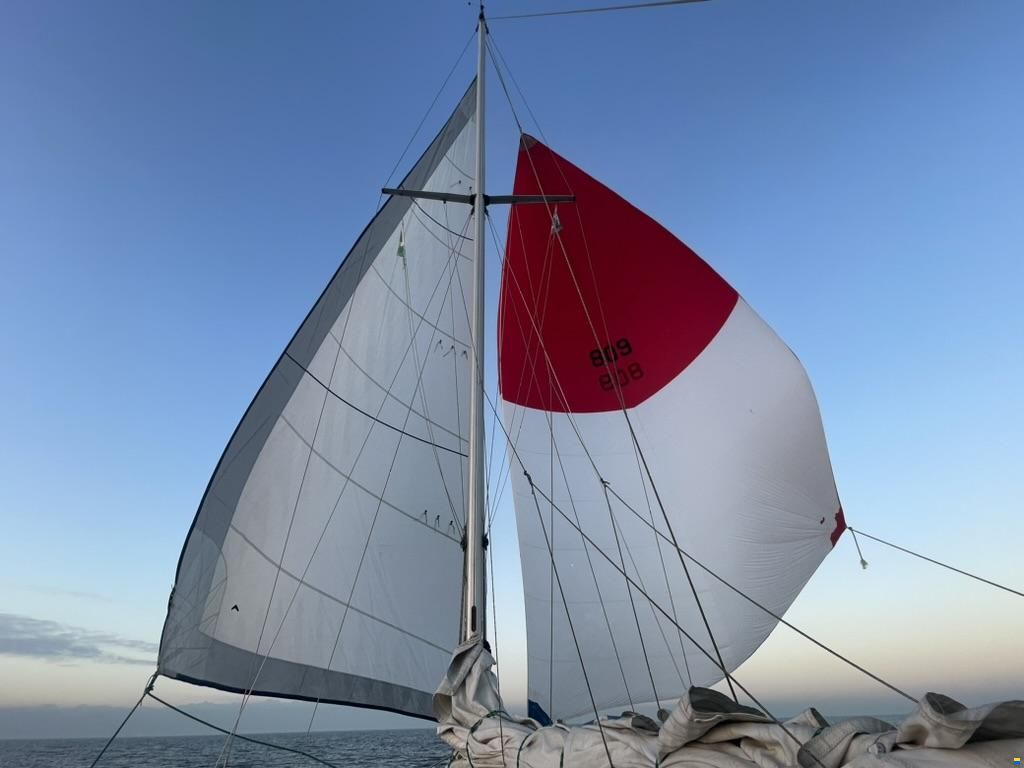 Scheldeschouw 9 meter