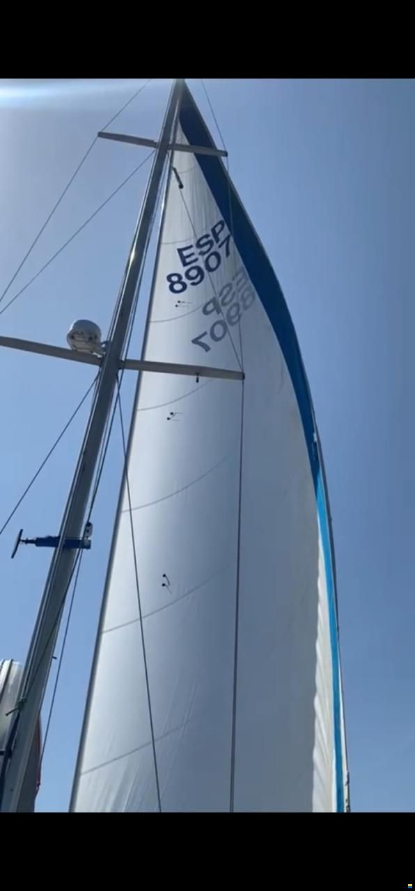 BRISA 40