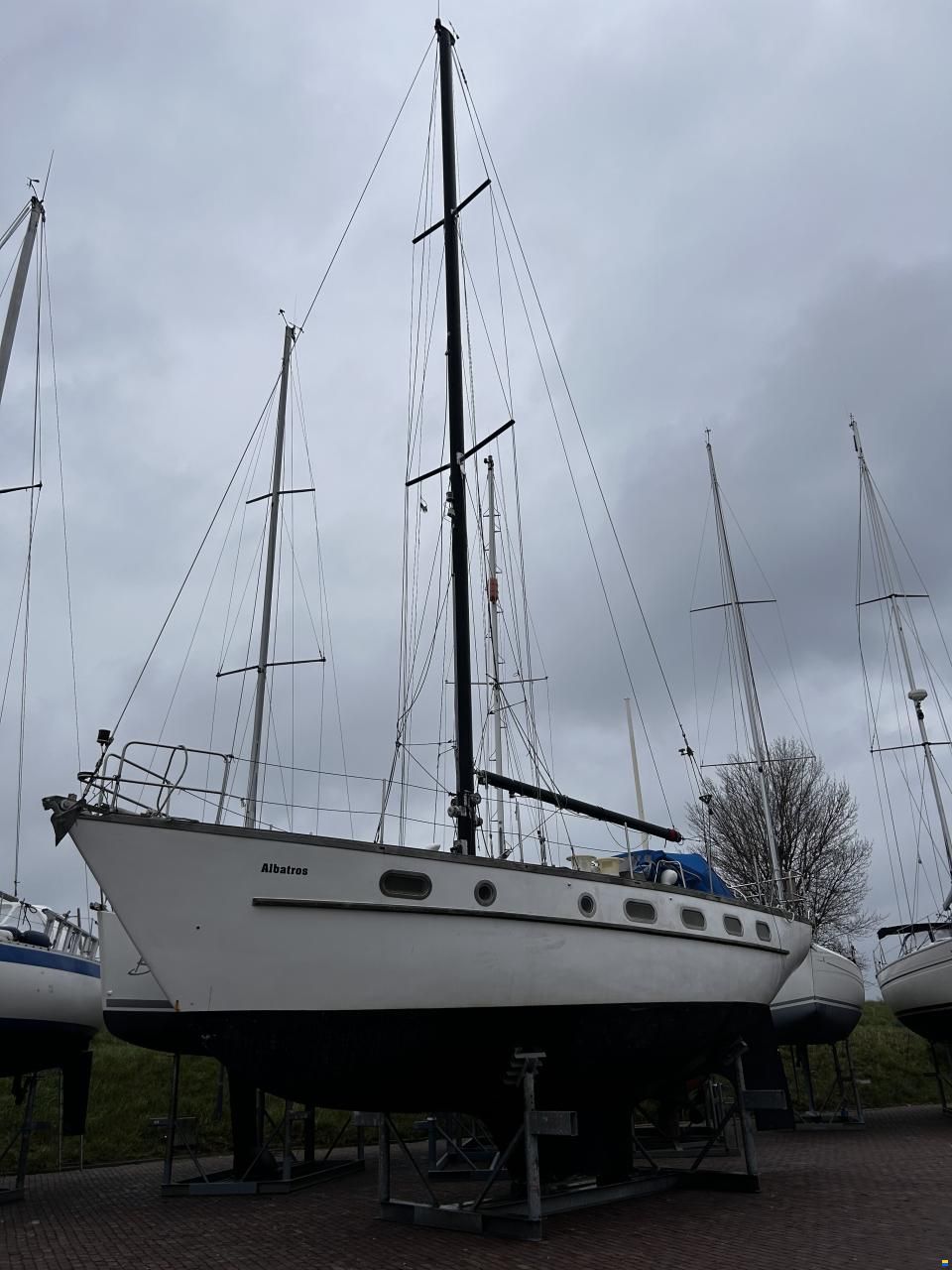 Hartley Golden Corwie 37