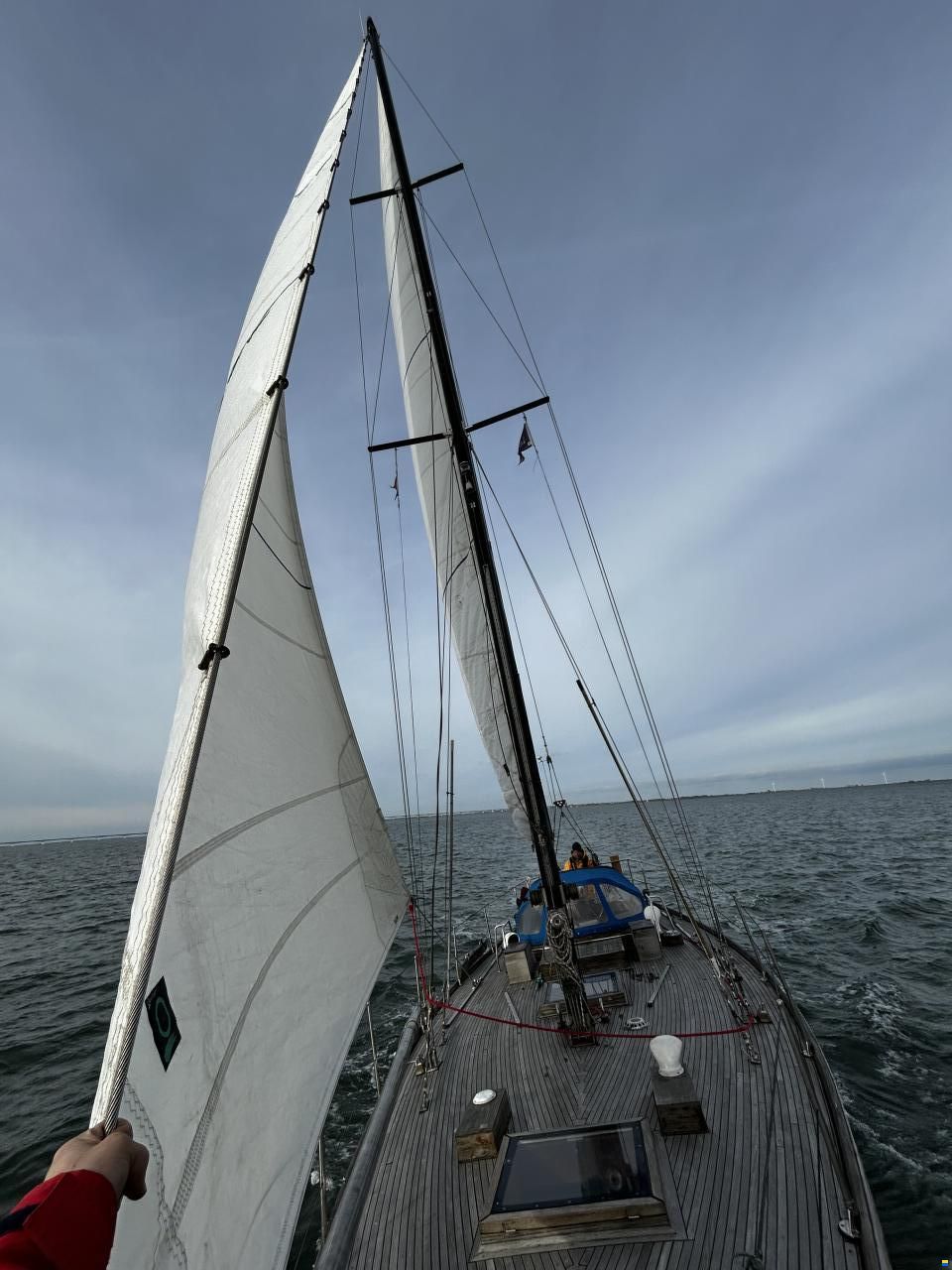 Hartley Golden Corwie 37
