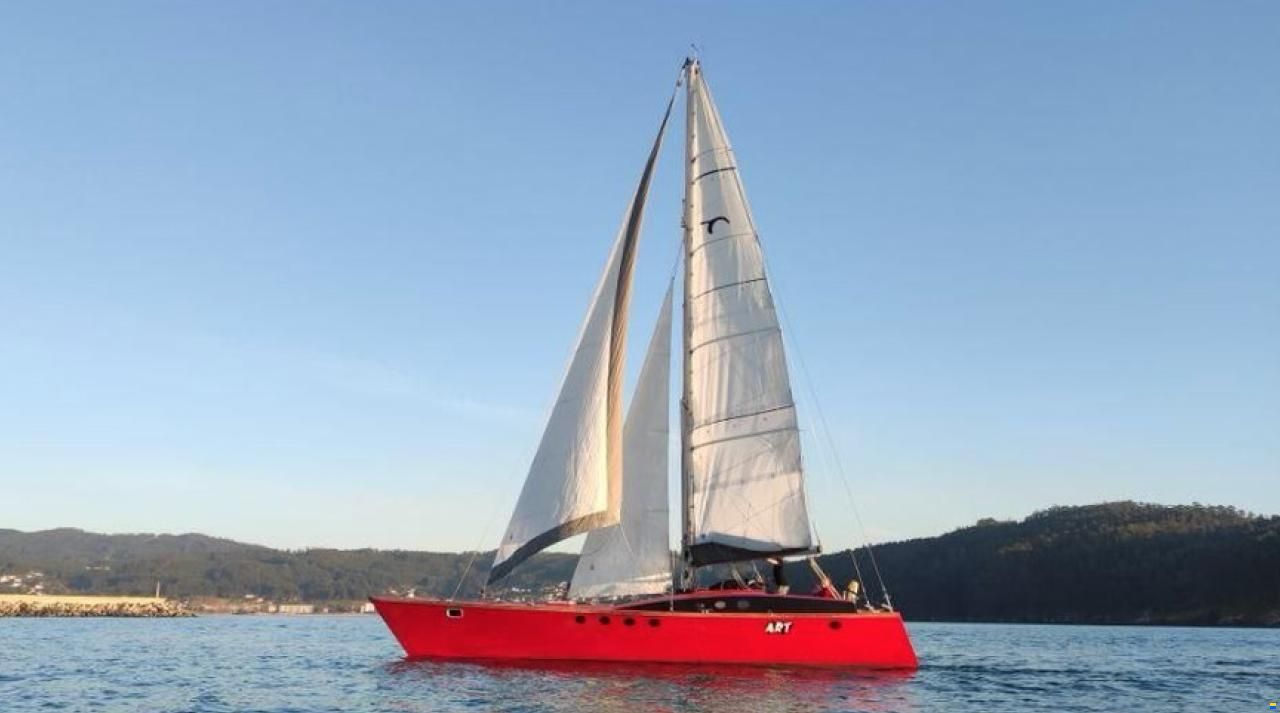 Wadvogel 38