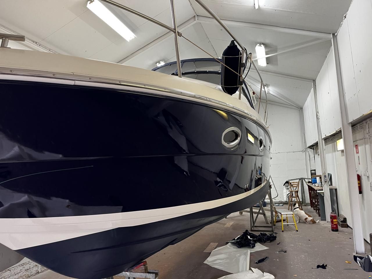 Bavaria 29 Sport