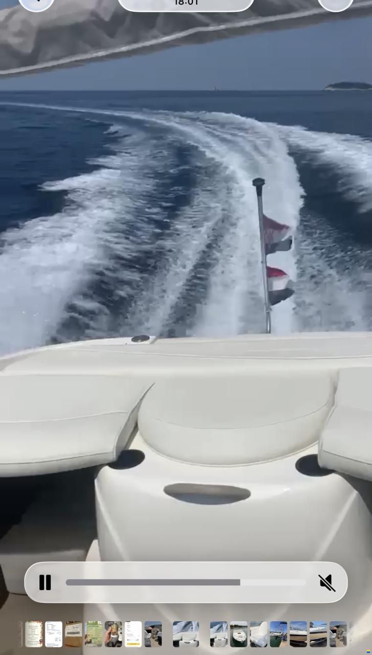 Bayliner Cuddy 212