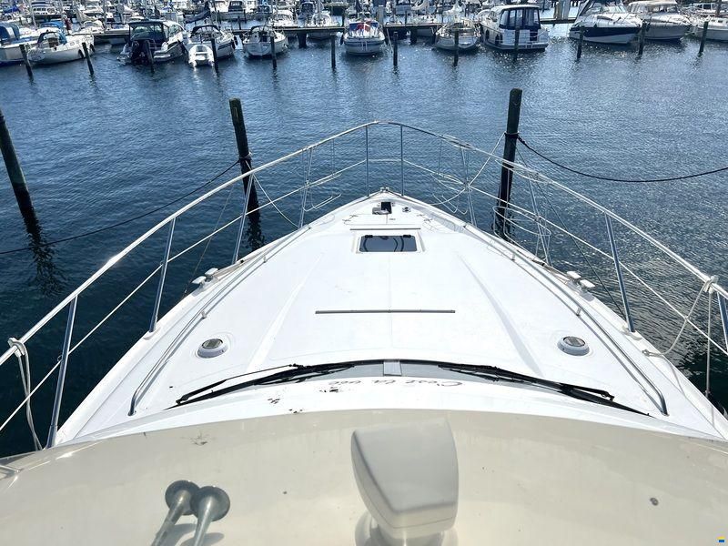 Sealine F43