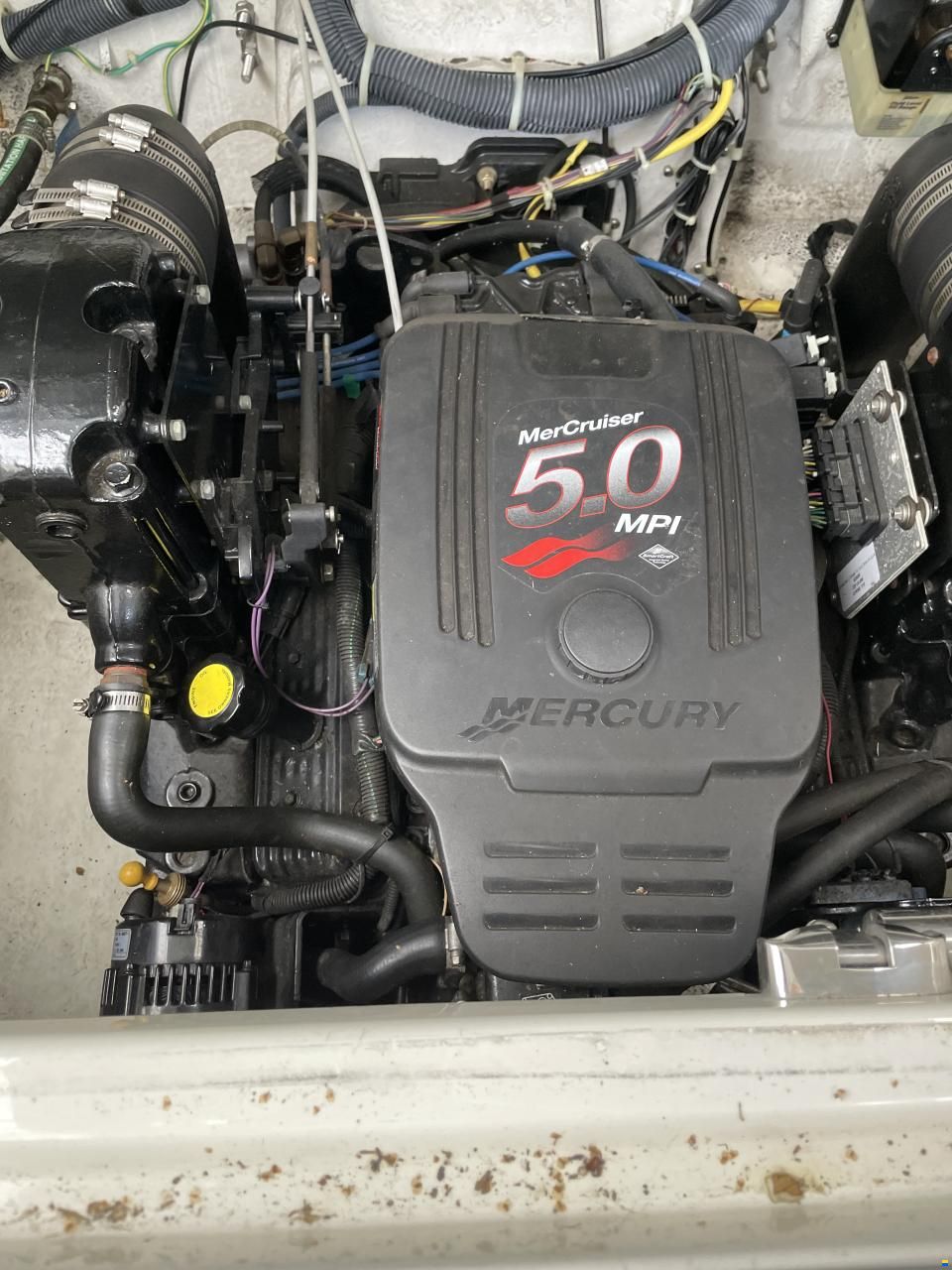 Maxum 26 SE