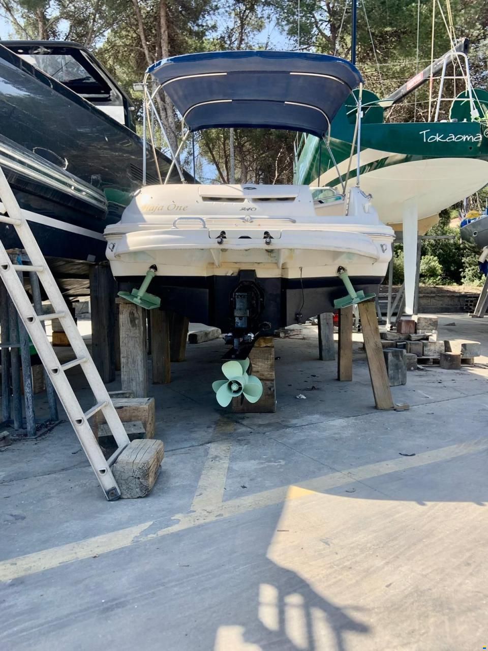 Sea Ray Sundeck 240