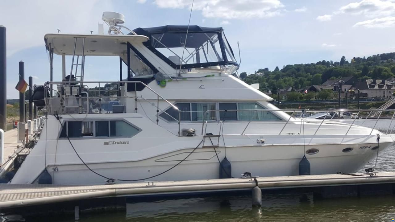 Cruisers 3950