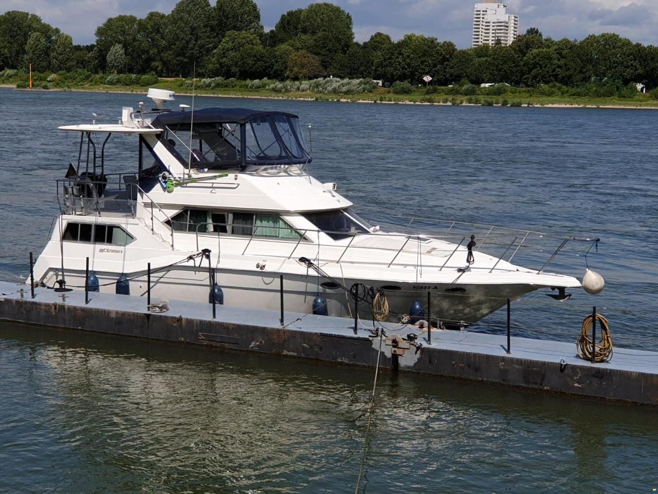 Cruisers 3950