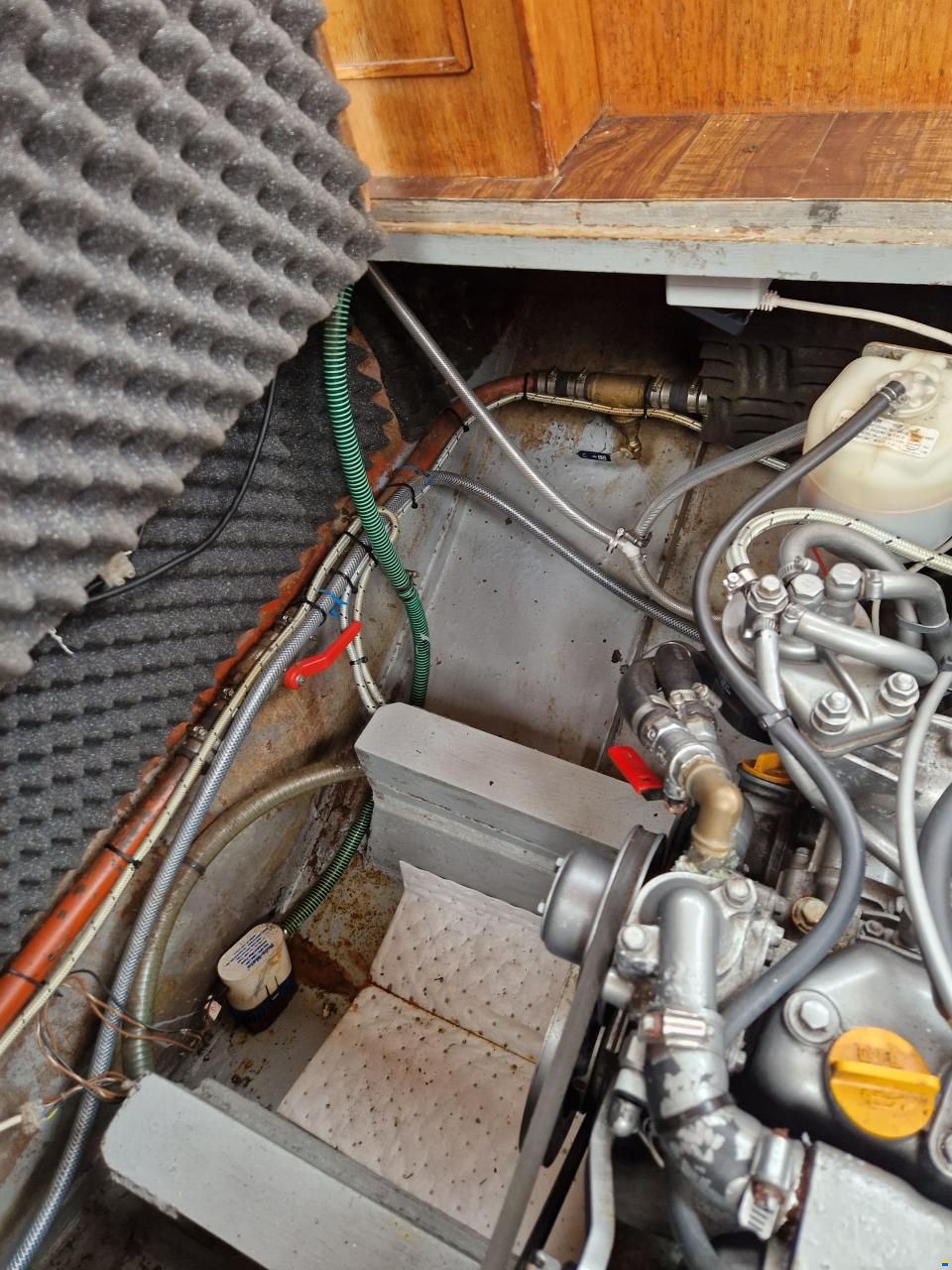 Motorboot