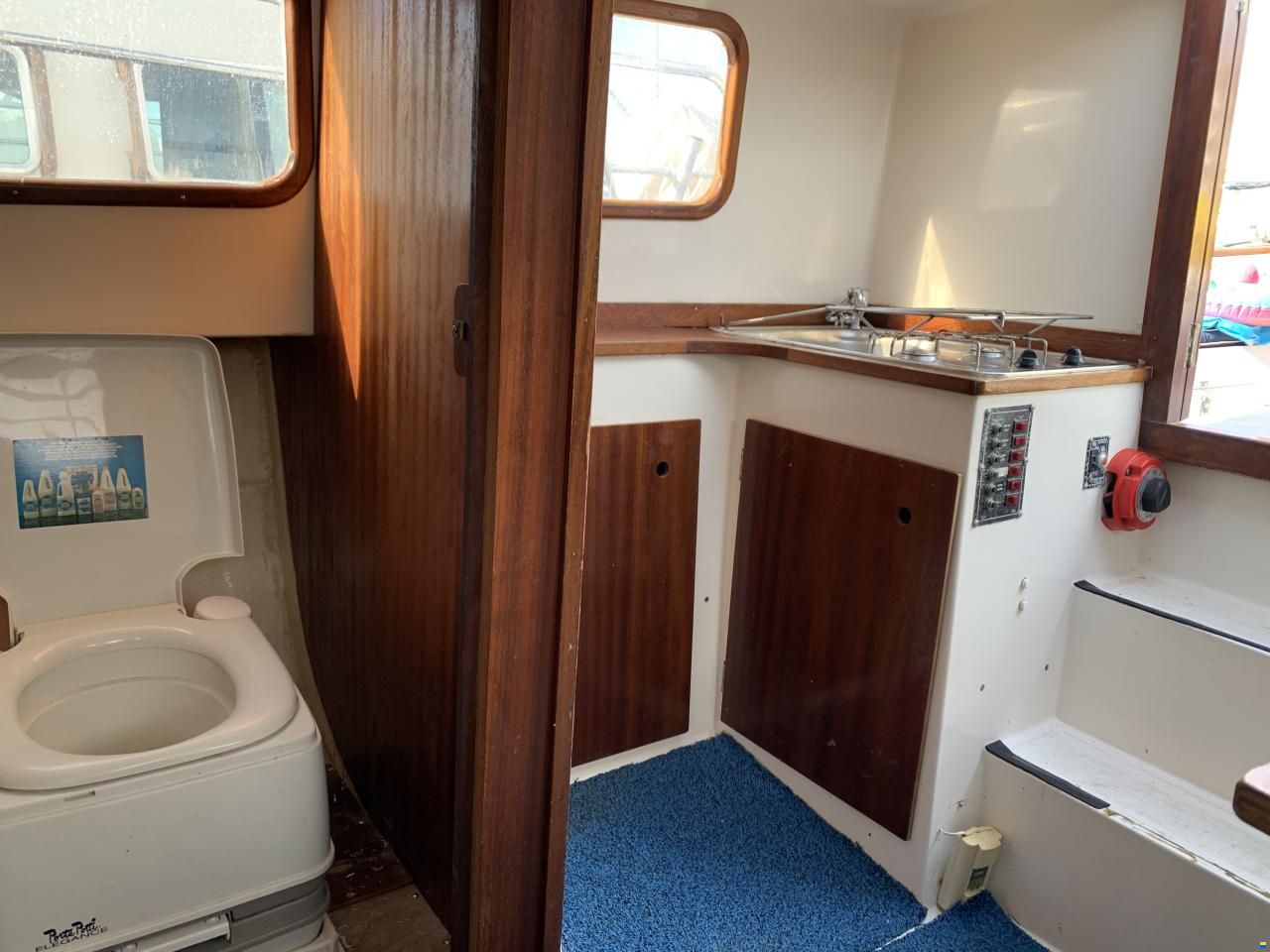 Tiburon 36