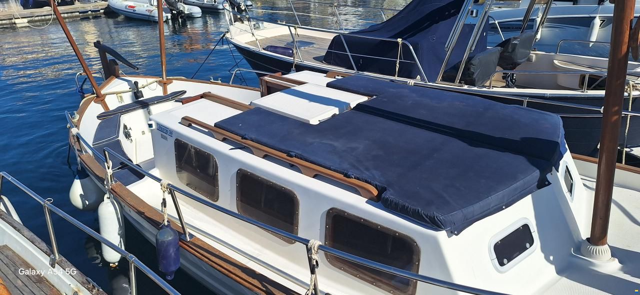 Tiburon 36