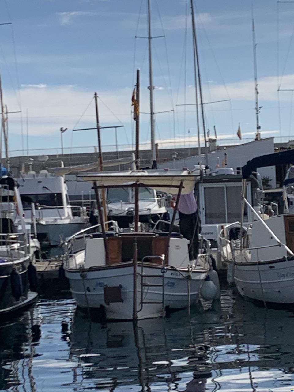 Tiburon 36