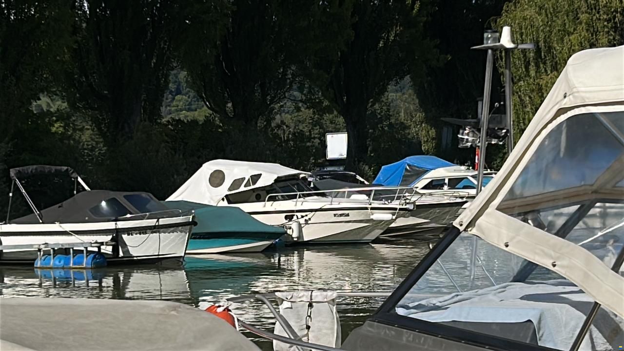 Rio Rio730 Rio