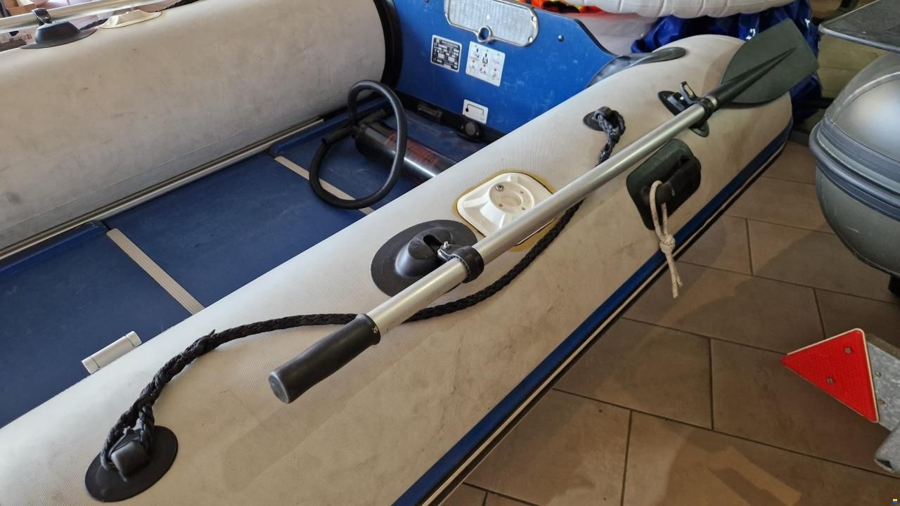 Zodiac Zoom 310S