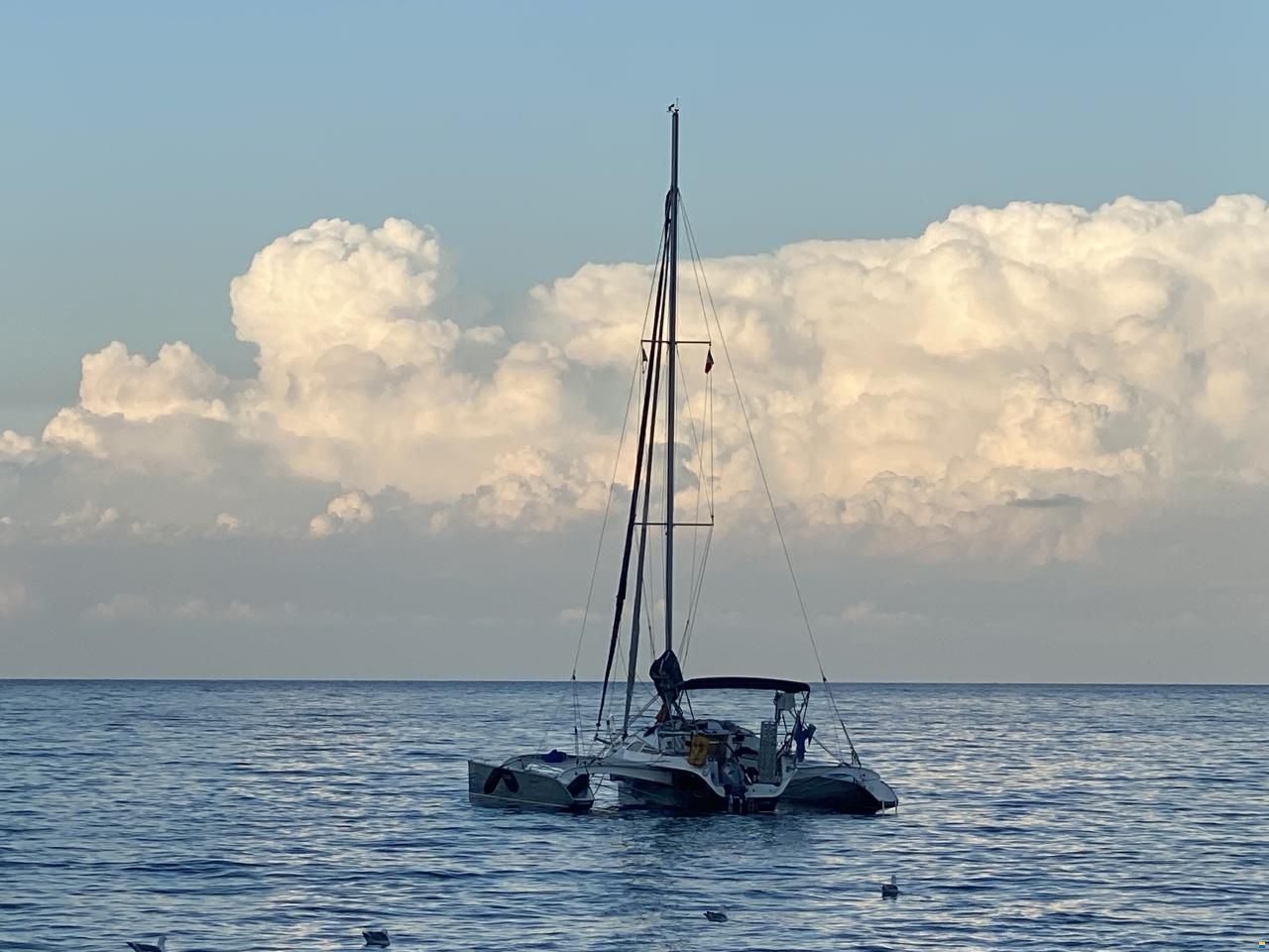 Quorning Dragonfly 28 Touring